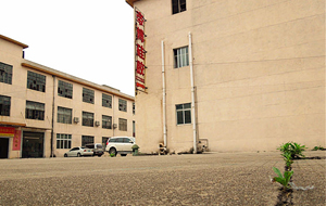 “論實(shí)力說話”專業(yè)硅膠制品廠家！